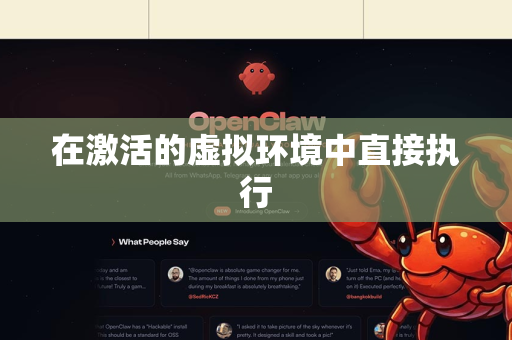 在激活的虚拟环境中直接执行