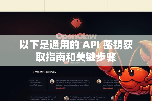以下是通用的 API 密钥获取指南和关键步骤