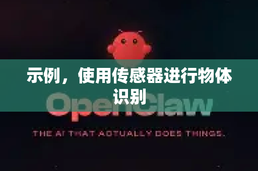 示例，使用传感器进行物体识别