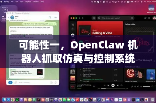 可能性一，OpenClaw 机器人抓取仿真与控制系统