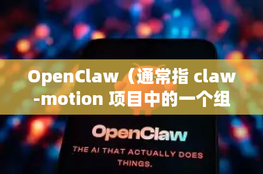 OpenClaw（通常指 claw-motion 项目中的一个组件）是一个强大的远程控制工具，其网络设置核心在于客户端（受控端/Agent）与服务器端（控制端/Server）之间的稳定连接-第1张图片-OpenClaw 中文版 - 真正能做事的 AI