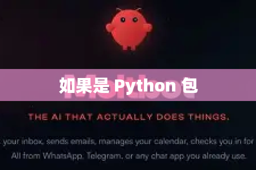 如果是 Python 包